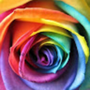 Meet your Posher, Cassandra